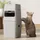 Sáp khử mùi Catlink C70