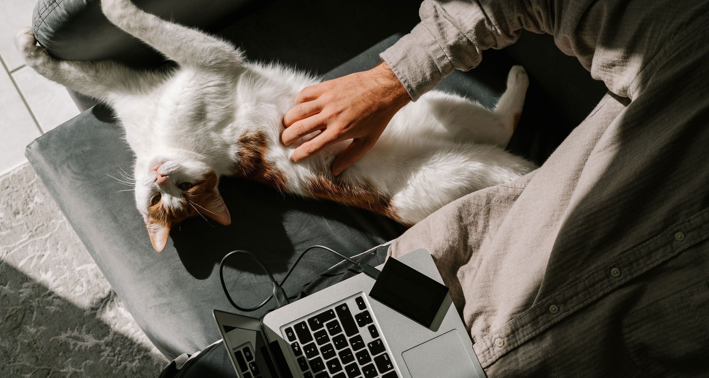 CATLINK Việt Nam