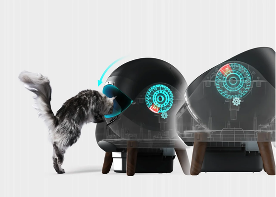 Bản quyền sáng chế và nghiên cứu công nghệ CATLINK