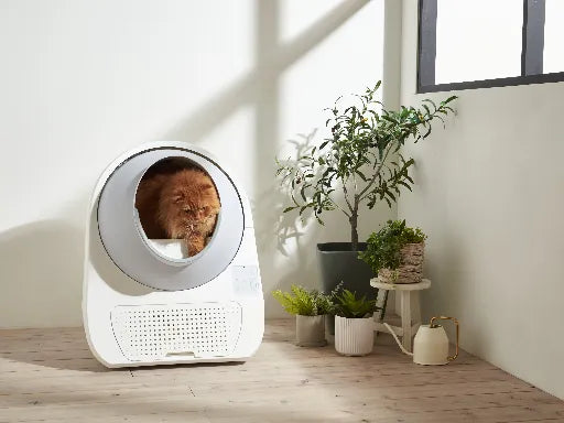 CATLINK Switch